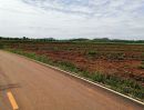 ขายที่ดิน - ขายที่ดินสวย อากาศดี 50 ไร่ อ.ปากช่อง ต.คลองม่วง ใกล้ Movenpick Resort Khao Yai ( ไร่ละ 1.3 ล้าน )