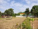 ขายที่ดิน - ที่ดินสวยทำบ้านสวนแปลงเล็ก บ้านไม้ พร้อมแปลงเกษตร สระหน้าบ้าน อยู่ในชุมชน ใกล้ ทางหลวง 24