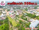 ขายที่ดิน - ขายที่ดินเปล่า 338ตารางวา โซนมหาวิทยาลัยอุบลราชธานี