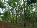 ขายที่ดิน - โครงการสวนป่าสักทองสร้างฝัน ที่ดิน2,398ไร่2งาน20ตรว. พื้นที่สีเขียว ถนน สายวังงิ้ว-ดงขุย ทล.1069 กม.46 ตำบล บ้านกล้วย อำเภอชนแดน เพชรบูรณ์