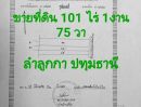 ขายที่ดิน - ขายที่ดิน เนื้อที่ 101 ไร่ 1 งาน 75 ตารางวา ลำลูกกา จ.ปทุมธานี