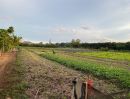 ขายที่ดิน - ขายที่ดินริมน้ำ | หลังTayama Farm Khaoyai (วิวลำธาร+เขา) 14-3-80 ไร่.(ไร่ล่ะ 1.9ลบ.) ต.คลองม่วง อ.ปากช่อง จ.นครราชสีมา. ที่ดินสวย ด้านหลังติดลำธาร