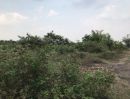 ขายที่ดิน - ขายที่ดินซอยคลองสี่ตะวันออก 69/1-69/2 คลองสี่ คลองหลวง ปทุมธานี เนื้อที่ 30 ไร่