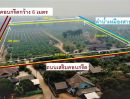 ขายที่ดิน - ที่สวนลำไยพร้อมบ้านหลังใหญ่ ติดถนน 2 ด้าน แม่สรวย ศรีถ้อย เจดีย์หลวง เชียงราย ใกล้ถนนเอเชีย วัดแสงแก้วเขื่อนแม่สรวย