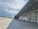 ให้เช่าโรงงาน / โกดัง - ให้เช่าโรงงานโกดัง สร้างใหม่บนพื้นที่ 41.36 ไร่ (66,178 ตรม.) บริเวณ บ้านเก่า อำเภอพานทอง ชลบุรี