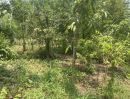 ขายที่ดิน - ที่ดินโฉนด มีสวนผสม 2 ไร่ไร่ละ 500,000 บาท ติดถนนลาดยาง หลังติดคลอง มีเพื่อนบ้าน วิวภูเขา