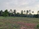 ขายที่ดิน - ขายที่ดินติดทะเล หาดฝั่งแดง อันซีนไทยแลนด์ หนึ่งเดียวในสยาม ขนาดที่ดิน 4 ไร่ ขายราคาไร่ล่ะ 3.5 ล้านบาท ค่าใช้จ่ายในการโอน 50/50