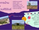 ขายที่ดิน - ืที่ดินใกล้ทะเล ผ่อนได้ อำเภอเมืองประจวบคีรีขันธ์