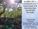 ขายที่ดิน - ขายที่ดิน 159 วา ถ.พุทธมณฑล สาย 7 ซอยคลาสเดย์-ศาลพ่อแก่สะแกทอย เหมาะสำหรับบ้าน โกดัง