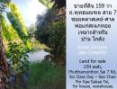 ขายที่ดิน - ขายที่ดิน 159 วา ถ.พุทธมณฑล สาย 7 ซอยคลาสเดย์-ศาลพ่อแก่สะแกทอย เหมาะสำหรับบ้าน โกดัง