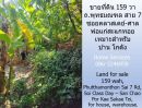 ขายที่ดิน - ขายที่ดิน 159 วา ถ.พุทธมณฑล สาย 7 ซอยคลาสเดย์-ศาลพ่อแก่สะแกทอย เหมาะสำหรับบ้าน โกดัง