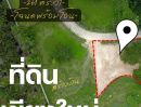 ขายที่ดิน - ขายที่ดิน เชียงใหม่ สำหรับทำบ้านพักตากอากาศ เห็นดอย แถมใกล้น้ำด้วยน้า เหมาะแก่การพักผ่อน