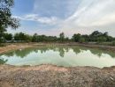 ขายที่ดิน - ขายที่ดินนนทรีโฉนด 26 ไร่ มีบ่อน้ำ1ลูกทำการเกษตรได้ หลังโรงเรียนบ้านหนองบัว ใกล้ถ.สุวรรณศร33-3.5กม กบินทร์บุรี ปราจีนบุรี