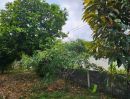 ขายที่ดิน - ขายบ้านสวน พร้อมที่ดิน 2 งาน ทำเลอ่างเก็บน้ำหนองค้อ ศรีราชา ชลบุรี TP-L0109