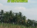 ขายที่ดิน - ขายที่ดินติดคลอง 4 ไร่ 2 งาน 76 ตรว. ประชาอุทิศ 76 เขตทุ่งครุ กรุงเทพฯ