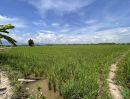 ขายที่ดิน - ขายที่นาวิวสวยสันโป่งแม่ริมวิวท้องนาโฉนดพร้อมโอน