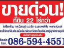 ขายที่ดิน - ขายที่ดิน 22.52 ไร่ เหมาะสำหรับเป็นที่อยู่อาศัยและทำการเกษตร ตำบลตาขีด อำเภอบรรพตพิสัย จังหวัดนครสวรรค์