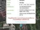 ขายที่ดิน - ขายที่ดิน อ.นครชัยศรี จ.นครปฐม 73120 (โครงการกฤษดานคร 26)