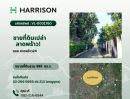 ขายที่ดิน - ขายที่ดินเปล่า ลาดพร้าว24 Empty land for sale, Lat Phrao 24