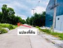 ขายที่ดิน - ขายที่ดินคลอง11 หนองเสือ ปทุมธานี น้ำไฟพร้อมหมด ติดถนนคอนกรีต 8 เมตร ขนาด 63 ตรว.