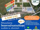 ขายที่ดิน - ที่ดินแบ่งขายประจวบฯ ผ่อนตรงกับเจ้าของที่ดิน ขนาด 125-150 ตร.วา