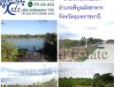 ขายที่ดิน - ขายที่ดินสวยติดแม่น้ำมูลทั้งผืน อากาศเย็นสบายทั้งปีหน้าที่ดินเป็นถนนคอนกรีตเทใหม่เอี่ยม