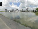 ขายที่ดิน - ขายที่ดิน 19-3-45 ไร่ ใกล้ Abac #บางนา #บางบ่อ #สมุทรปราการ