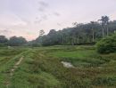 ขายที่ดิน - ขายที่ดิน บ้านลิพอน-ควนตาแท่น อำเภอถลาง จังหวัดภูเก็ต