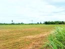 ขายที่ดิน - ที่ดินแปลงสวย ติดถนนลาดยาง มีไฟฟ้า อ.ตรอน อุตรดิตถ์