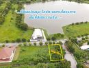 ขายที่ดิน - ขายที่ดิน ในโครงการวิจิตรธานี บางนา-ตราด บางปะกง ฉะเชิงเทรา