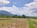 ขายที่ดิน - ขายที่ดินบ้านแม่นะเชียงดาววิวดอยหลวงโฉนดพร้อมโอน