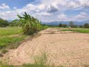 ขายที่ดิน - ขายที่ดินบ้านแม่นะเชียงดาววิวดอยหลวงโฉนดพร้อมโอน