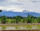 ขายที่ดิน - ขายสวนผสมบ่อปลา ไฟฟ้าน้ำประปาพร้อม วิวสวยเหมาะทำบ้านสวน บ้านพักตากอากาศ