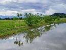 ขายที่ดิน - ขายสวนผสมบ่อปลา ไฟฟ้าน้ำประปาพร้อม วิวสวยเหมาะทำบ้านสวน บ้านพักตากอากาศ