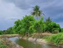 ขายที่ดิน - ขายสวนผสมบ่อปลา ไฟฟ้าน้ำประปาพร้อม วิวสวยเหมาะทำบ้านสวน บ้านพักตากอากาศ