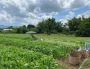 ขายที่ดิน - ขายที่ดินริมน้ำ | หลังTayama Farm Khaoyai (วิวลำธาร+เขา) 14-3-80 ไร่.(ไร่ล่ะ 1.9ลบ.) ต.คลองม่วง อ.ปากช่อง จ.นครราชสีมา.