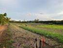 ขายที่ดิน - ขายที่ดินริมน้ำ | หลังTayama Farm Khaoyai (วิวลำธาร+เขา) 14-3-80 ไร่.(ไร่ล่ะ 1.9ลบ.) ต.คลองม่วง อ.ปากช่อง จ.นครราชสีมา.