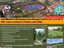 ขายที่ดิน - ขายที่ดินริมน้ำ | หลังTayama Farm Khaoyai (วิวลำธาร+เขา) 14-3-80 ไร่.(ไร่ล่ะ 1.9ลบ.) ต.คลองม่วง อ.ปากช่อง จ.นครราชสีมา.