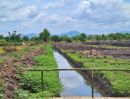 ขายที่ดิน - ขายที่ดิน 200 ตรว. The lake view Nakhon Nayok ต.ท่าช้าง เมืองนครนายก