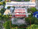 ขายที่ดิน - ขายที่ดินขนาดเล็ก แปลงสวย ราคาดี 131 ตรว. ใกล้ตัวเมืองระยอง