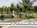 ขายที่ดิน - ที่ดิน 10 ไร่ อ.เมือง สมุทรสงคราม ใกล้ถนนพระราม 2 พร้อมบ้านเลขที่มงคล