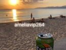 ขายคอนโด - งาน วีไอพี ต่างประเทศ ทั่วโลก งานสวยเงินแสนวางใจเรา ameliavip264