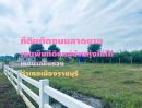 ขายที่ดิน - ขายที่ดิน 100 ตรว.หมู่บ้านทุ่งไล่ไก่ เขตเทศบาลหินกอง เมือง.ราชบุรี