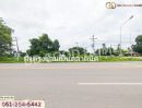 ขายที่ดิน - ที่ดิน สี่แยกบัวชุม ชัยบาดาล 361 ตร.ว. ลพบุรี