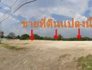 ขายที่ดิน - ขายที่ดินเขาใหญ่ ที่ดินติดถนนนิคมลำตะคลอง-หนองสาหร่าย เขาใหญ่ปากช่อง