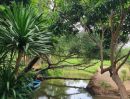 ขายที่ดิน - บ้านสวน ทำเลทอง ติดลำคลองธรรมชาติ ใกล้หาดบ้านอำเภอ บางเสร่ จอมเทียน