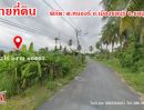 ขายที่ดิน - ขาย ที่ดิน แปลงสวย ติดคาเฟ่ 2 ไร่ 2 งาน 60 ตรว หนองรีชลบุรี