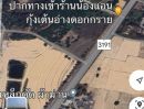 ขายที่ดิน - ขายที่ดิน ปลวกแดงระยอง ติดถนน ใกล้สถานีพัฒนาที่ดินระยอง