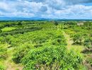 ขายที่ดิน - ขายที่ดินพร้อมสวนติดเชิงเขา ราคาถูก ทำเลทอง อำเภอสอยดาว จังหวัดจันทบุรี (เจ้าของขายเอง)