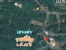 ขายที่ดิน - ขายด่วน! ที่ดินเกาะเต่า 1-3-52 ไร่ ไฟฟ้า+น้ำผ่านหน้าแปลงที่ดิน ใกล้ Fasai Thaifood, Paramee Motorbike For Rent